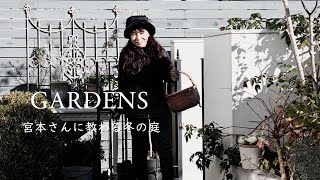 ガーデニング初心者必見　GARDENS宮本さんに教わる冬の庭を美しく見せるヒント　ガーデニング