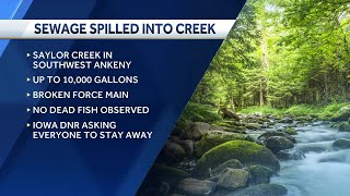 Thousands of gallons of sewage spilled into Ankeny creek