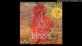 Bloem - Medina Cat Katrinka Touch Lump Records