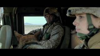 Famous 'Megan Leavey' Looks To War Heroes Not Often Seen In Films Net Worth
