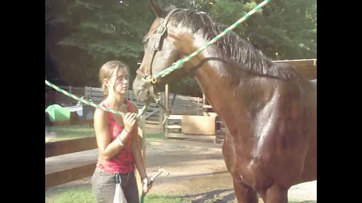 The gℓσω that the ѕυη gives right around ѕυηѕєт