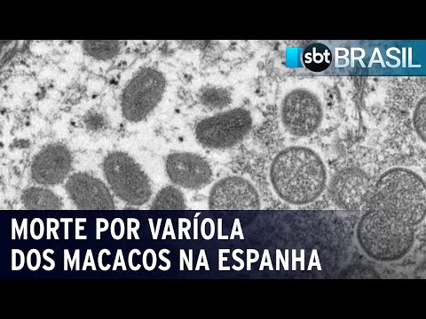 Espanha confirma segunda morte por varíola dos macacos | SBT Brasil (30/07/22)