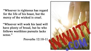 What Does the Bible Say About Caring for the Environment?