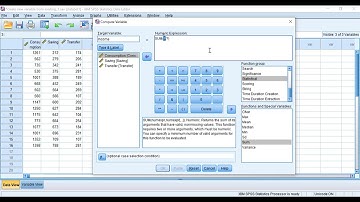 How to Create a New Variable From Existing Variable in SPSS: 2 Options!