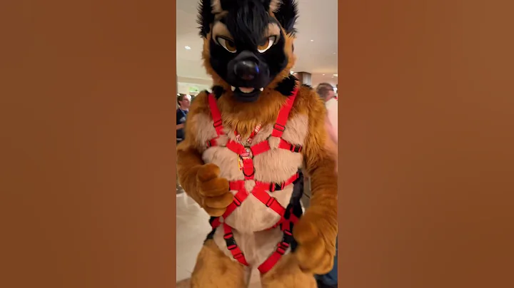 Shake my hand in character! Furry edition! 2 Confuzzled special!