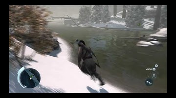ACIII motion blur