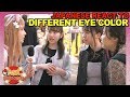 Do Japanese ENVY foreigner's EYES? Ask Japanese what they are jealous about