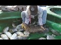 广东阳江海陵岛钓鱼，600包船钓了十几斤海鱼，大家觉得怎么样