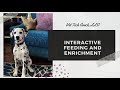 Interactive feeding and enrichment