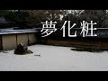 夢化粧【立花悠馬】作詞・作曲・編曲/蒔田俊明