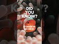 Amazing Clownfish Fact You Didn’t Know #shorts