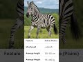 #horse #animal #zoo #zebra #donkey #wildlife #indonesia #indian #indonesia #shorts #shortsfeed