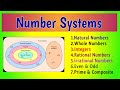 Number System के सारे Types | हिंदी में आसान तरीके से समझो | Types of Numbers