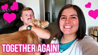 😍 Harlow and Judd REUNITED & Hilarious Doggie Zoomies! 😂 (7/28/18)