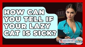 How Can You Tell If Your Lazy Cat Is Sick? - Ask A Pet Vet