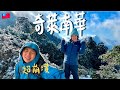 【奇萊南華】新手能駕馭嗎？寒流來襲上山追雪到底值不值得？（兩天一夜 宿天池山莊）