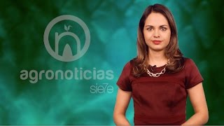 AGRONOTICIAS sie7e PROGRAMA 26