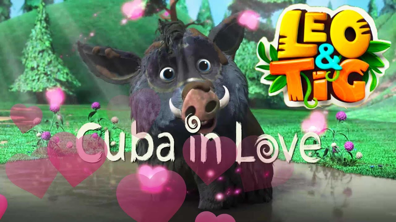 LEO and TIG 🦁 🐯 Cuba in Love 🐨 NEW EPISODE 💚 Moolt Kids Toons Happy ...