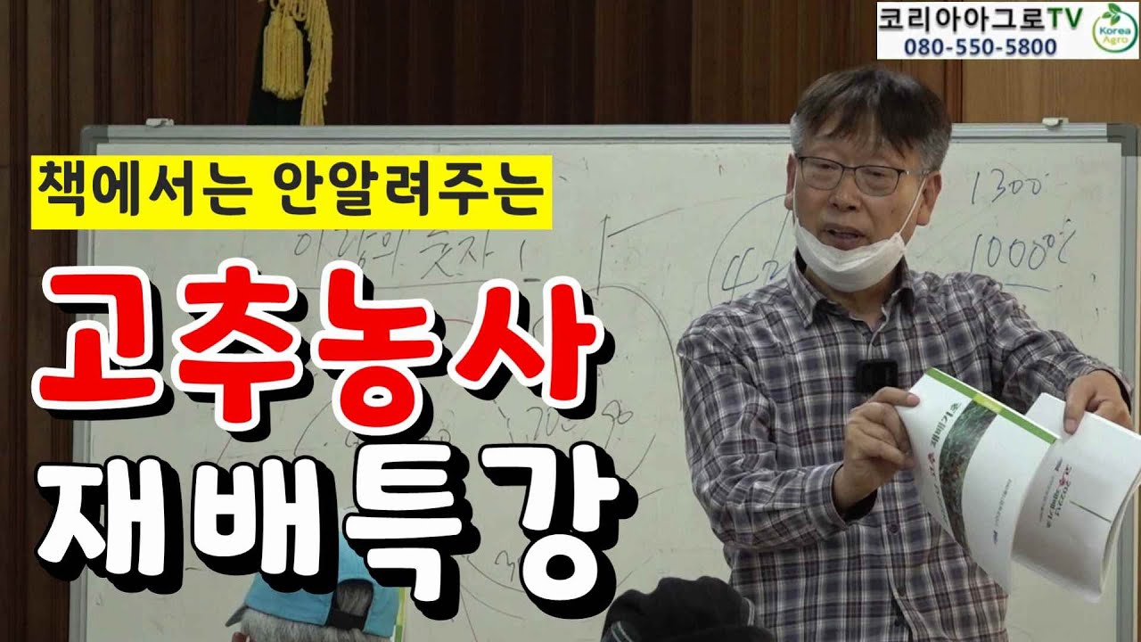 고추 재배 특강