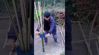 #bamboo  #Agriculture, Rural Areas, and Farmers #My Rural Life #Traditional Crafts #Traditi   #5adb3