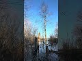 Today’s walk—we have had a lot of rain 🌨️🌨️🌨️🌨️🌨️🌨️