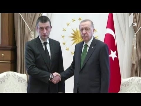 თურქეთში ვიზიტის შეფასება