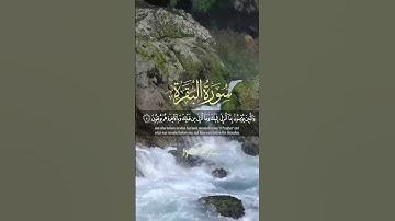 سورة البقرة آيات تلامس القلوب وتبعث السكينة | Surah Al-Baqarah Heart-Touching Verses Bringing Trqu