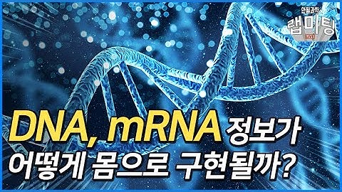 mRNA 백신 이해를 위한 분자생물학의 중심원리(Central Dogma) [안될과학 랩미팅 