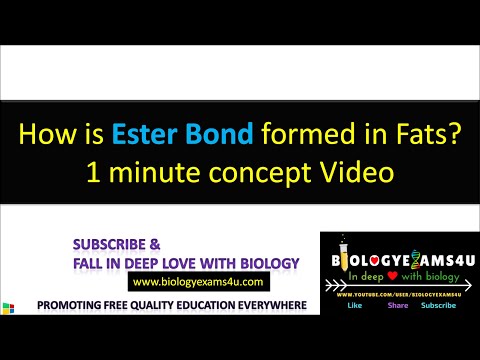 What are Fats? How is Ester Bond Formed in Fats?