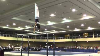 David Grooms - Parallel Bars - 2015 Winter Cup Prelims