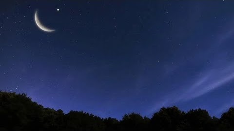 ما تيسر من سورة الأحزاب ﴿٢٨ - ٤٣﴾ || القارئ أبو لقمان || ذو الحجة ١٤٤٦ هـ