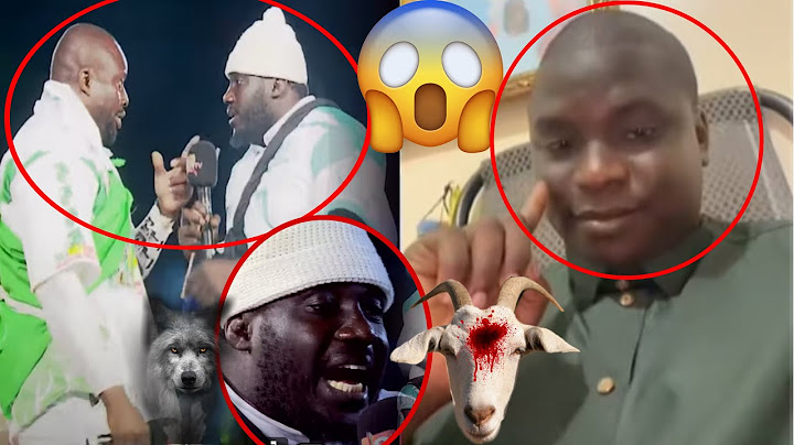 Urgent🔴C’est Fini pour Zarko,Sa Thies moy Dane 4 Appui(Serigne Mame Thierno prédit la Victoire…