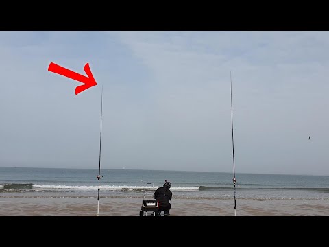 태안 만리포해수욕장 도다리 <strong>원투낚시</strong>