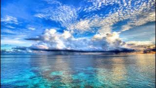Whiite - Shark (Daniel Kandi Remix) HD