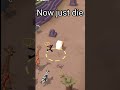 This is the way you get lost animals in rodeo stampede