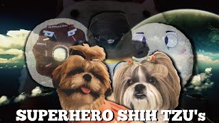 Cute Shih Tzu Puppy Playing Daily Routine Episode 10