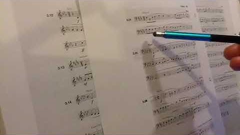 StewMuse: CoD Aural Skills Video 1