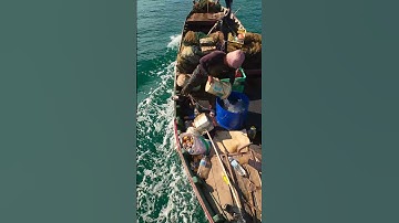 Boats glide in near Lăng Cô Beach | fishermen with crab catch | DJI Avata