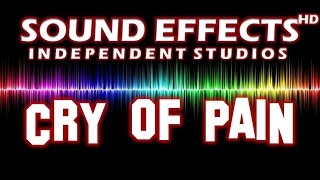 SFX - SOUND EFFECT: CRY OF PAIN - SCHMERZSCHREI