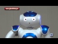 Гуманоидный робот NAO