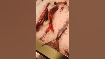 Fish Fish Food Ofw Fyp Viral Shorts 