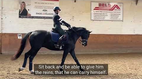 Small Circles & Canter Walk Transitions with Denali