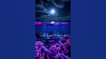 تلاوة رائعة | عبدالرحمن السديس | #تلاوة_خاشعة #قران_كريم #راحة_نفسية