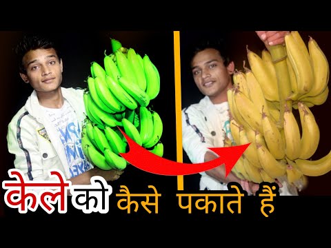 वीडियो: केले को बैटर में कैसे पकाएं