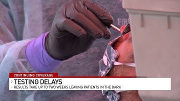 Labs are backlogged and causing COVID testing delays. Could rapid tests be the answer?