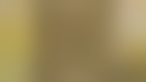 Level 3 Clue Scroll With Commentary!