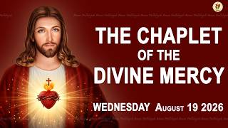 Chaplet Of The Divine Mercy I Wednesday August 19 2026 I Daily Divine Mercy Prayer