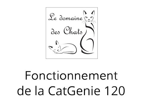 Vidéo: Comment fonctionne le Cat Genie ?