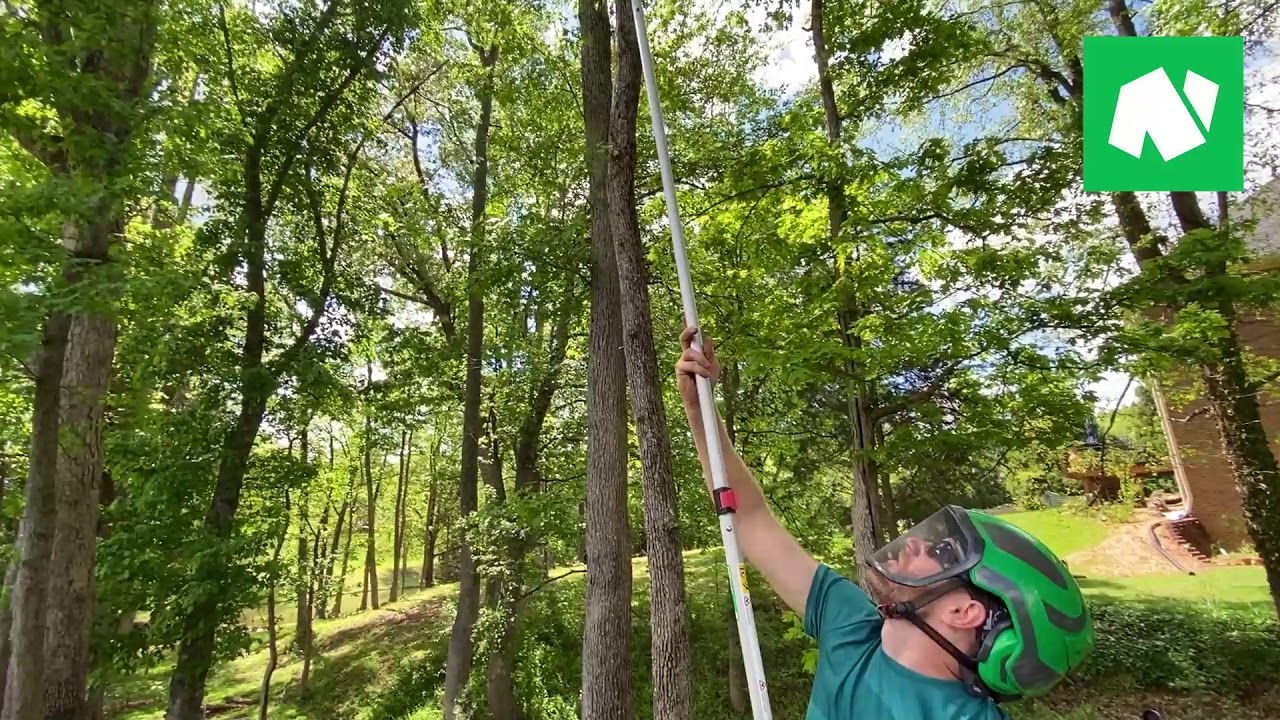 Notch 20' Nobasu 4 Section Telescoping Aluminum Polesaw - Notch