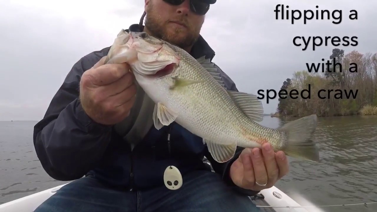 Santee Cooper Bass Tournament, Subscribe for more Santee fishing vids